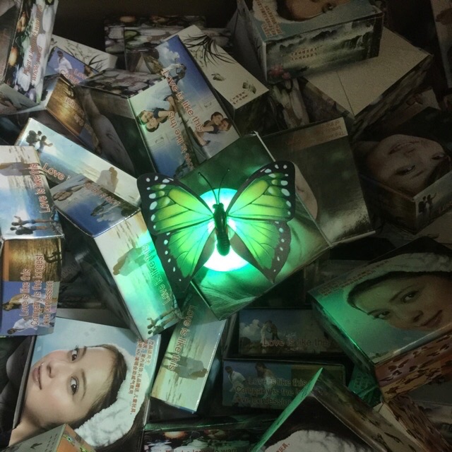 Bươm bướm dán tường Led đổi màu
