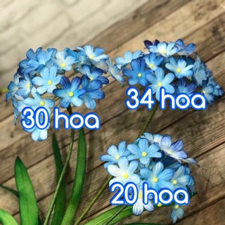 Hoa giấy dai- 1 bộ Huệ Sông Nile