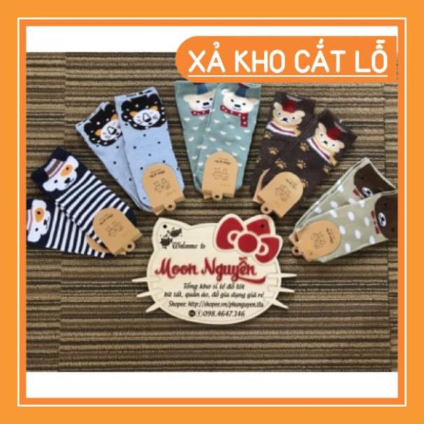 Set 10 đôi tất cổ cao hình con vật đáng yêu có size cho bé 1-13 tuổi mã 9007 - Video+ảnh thật