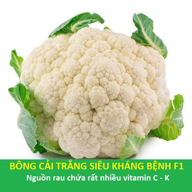 HẠT GIỐNG BÔNG CẢI TRẮNG F1 - súp lơ gói 1gr/nhiều hạt