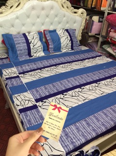 Ga gối cotton lụa ( cotton 100%)