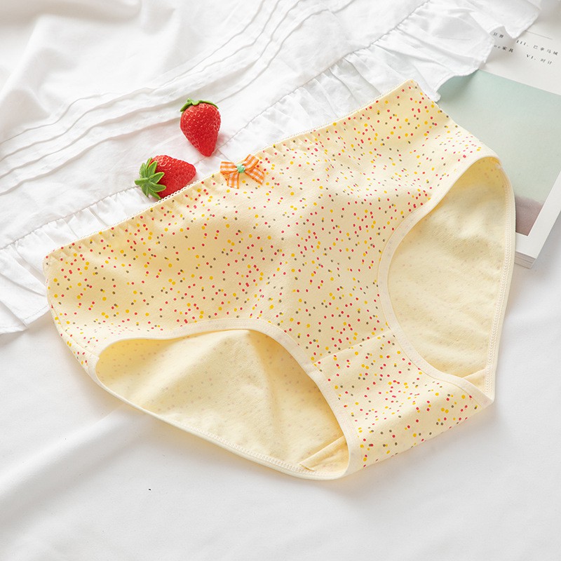 [RẺ HƠN BÁN SỈ ] [ SIZE 49KG >> 58KG] Quần Chip Cotton Loại 1  - Cotton Co Dãn Thoải Mái - Siêu Nhiều Hình Dễ Thương !!!