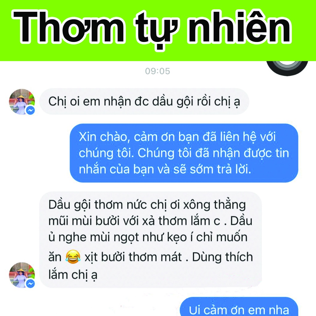 Dầu gội bưởi non/ Dầu xả bưởi Handmade giúp Giảm Gàu, Nấm, Ngứa, Rụng Tóc