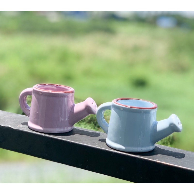 Chậu trồng sen đá mini