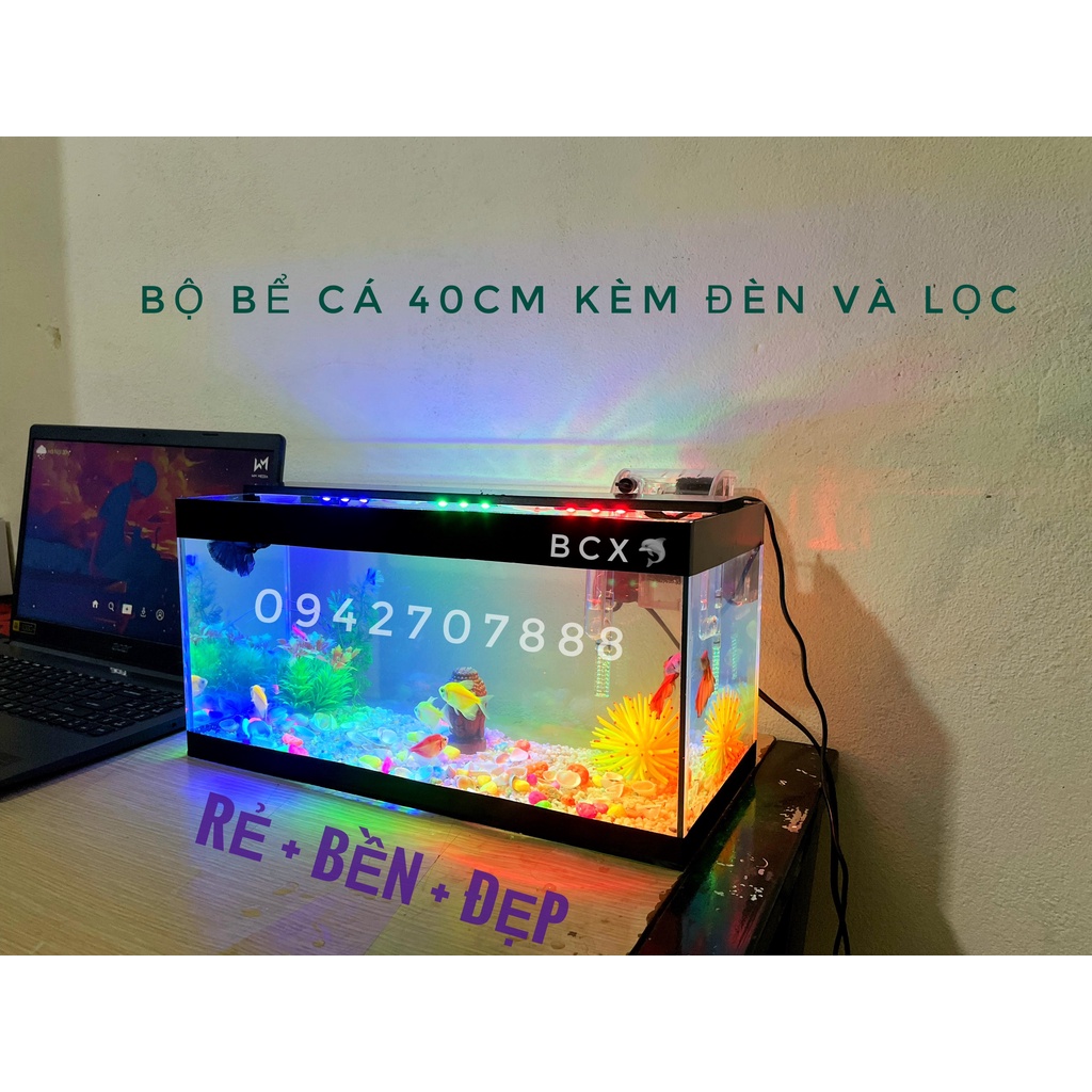 Bộ bể cá cảnh size 40cm đầy đủ đèn lọc và phụ kiện