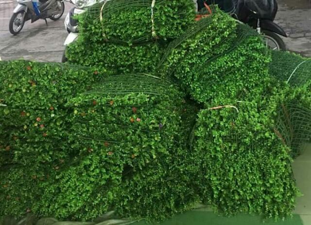 Thảm cỏ tai chuột nhân tạo kích thước 40x60cm trang trí không gian