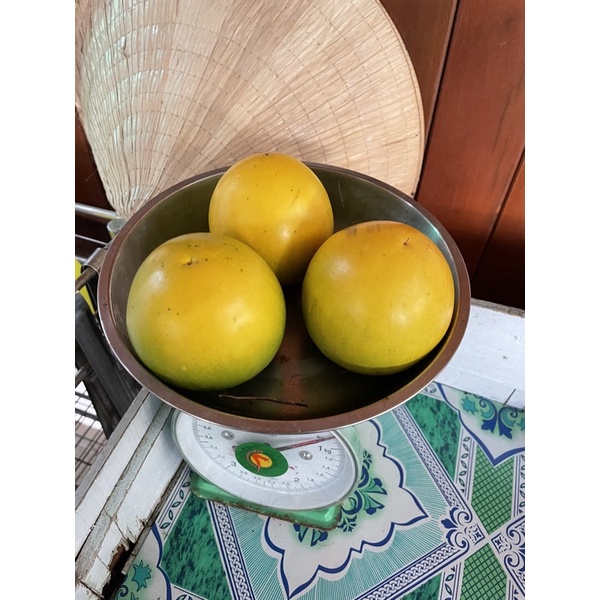 Vú Sữa Hoàng Kim Đang Có Trái