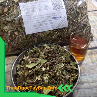 Cây Dây Thìa Canh Lá To [1Kg]
