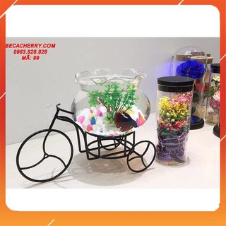 Giá Đỡ Bể Cá Mini Xe Đạp