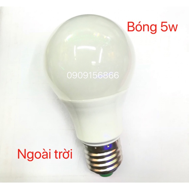 Bóng 3w 5w 7w ngoài trời