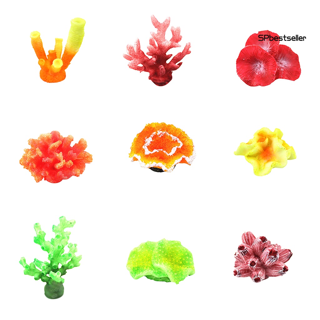 San hô nhân tạo mềm trang trí bể cá sinh động