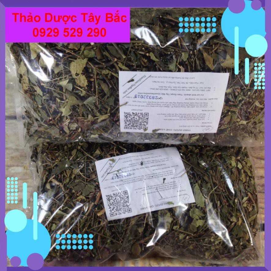 Trà Vằng , Trà Vằng Giảm Cân ( Trà Vằng Lợi Sữa )