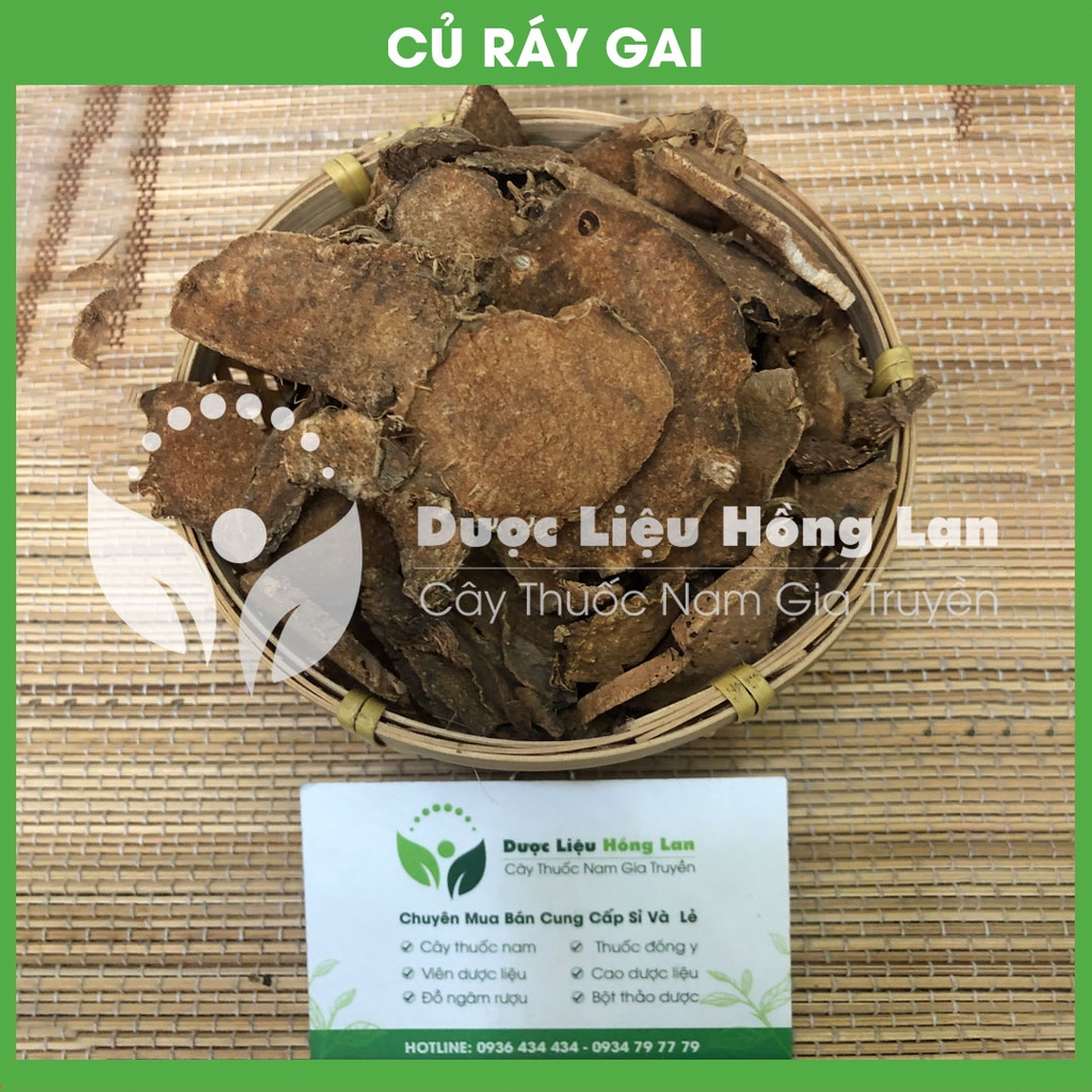 CỦ RÁY GAI (MÓP GAI) khô sạch đóng gói 1kg - congtyduoclieuhonglan