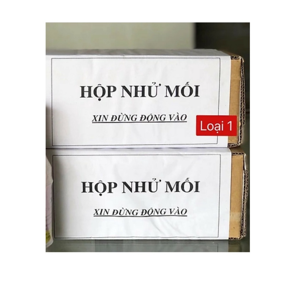 Combo DIỆT MỐI tại nhà hiệu quả ( 1 lọ thuốc diệt mối PMC + 1 hộp nhử mối )