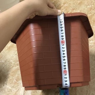 10 chậu Fa 37x26 cm 200 nghìn đồng