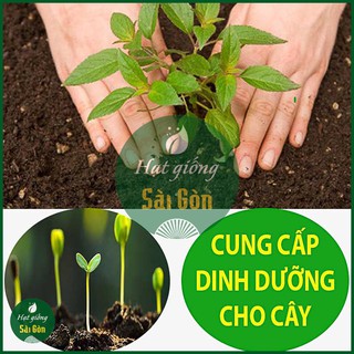 Phân Bón DAP 1KG Hạt Đen