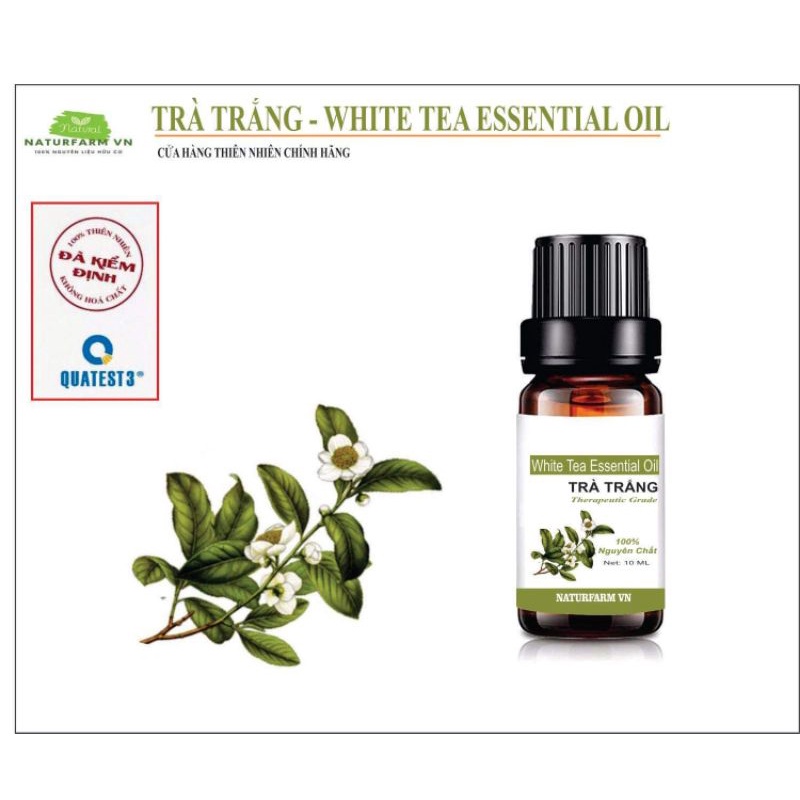 Tinh dầu trà trắng nguyên chất 10ML - White Tea Oil