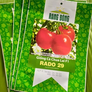 Giống cà chua lai F1 trái to tròn đẹp Rado 29