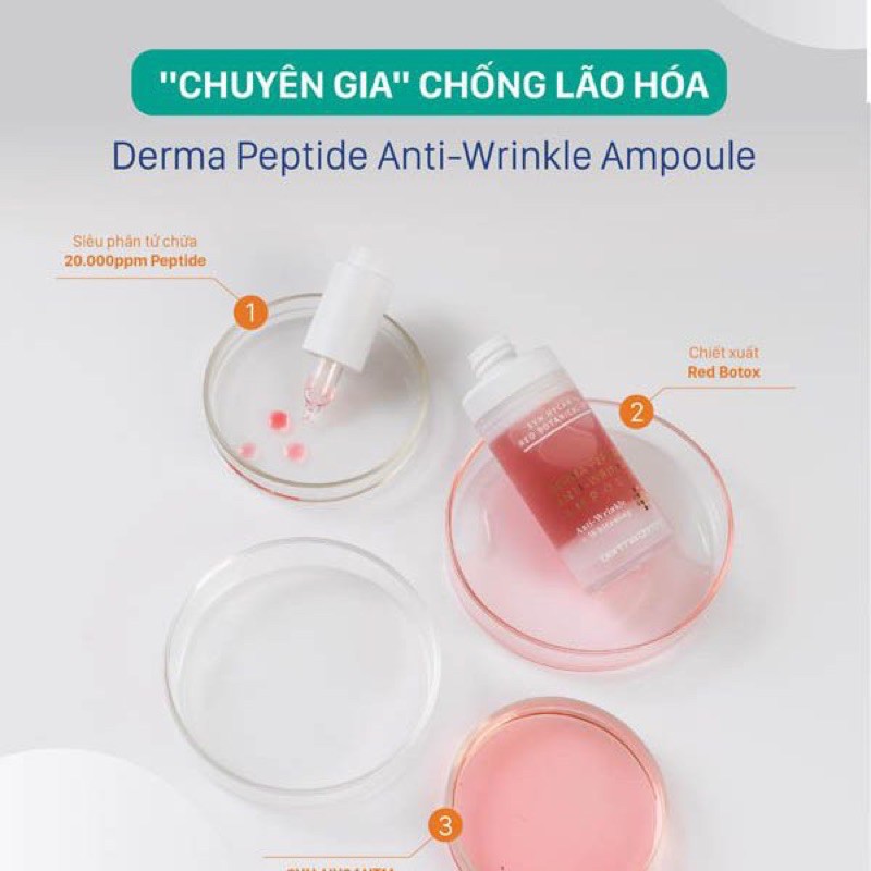 Serum Chống Lão Hoá, Nâng Cơ Derma Peptide Anti - Wrinkle Ampoule