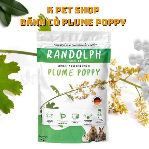 Bánh Cỏ Plu.me Pop.py Randolph  FREE SHIP  Thức Ăn Dinh Dưỡng Phục Hồi Giảm Đau Gan Thận Thỏ Bọ Chichilla Sóc
