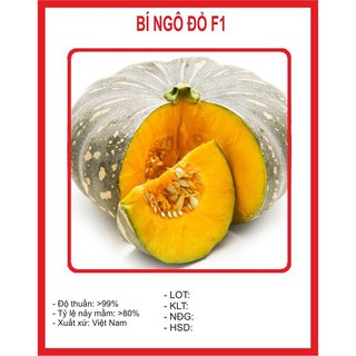 hạt giống Bí đỏ (bí ngô) – 10Hạt