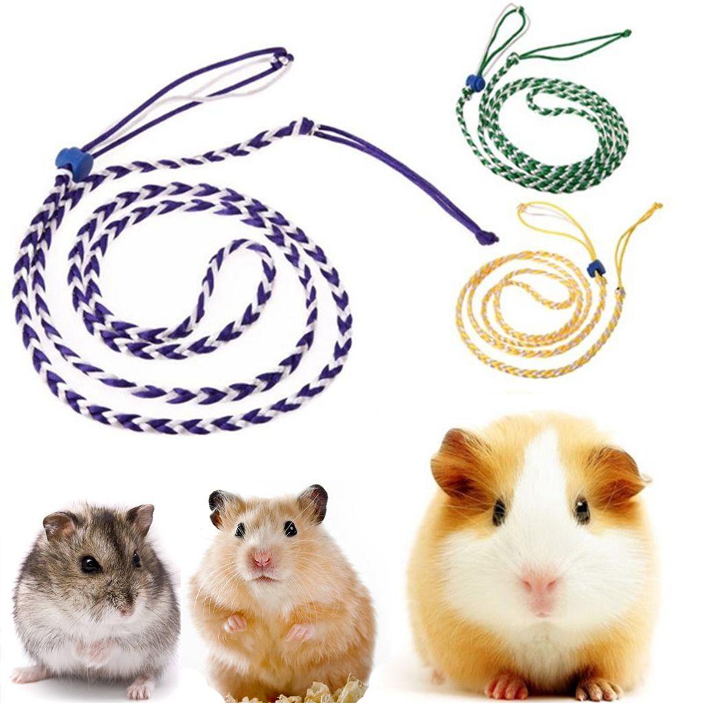 Dây Dắt Chuột Hamster Đi Dạo Bằng Nylon Có Chuông Màu Sắc Ngẫu Nhiên