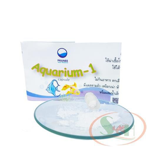 Điều Trị Cá Tép Chết Lai Rai Pranee Aquarium-1 - Vĩ 10 Viên