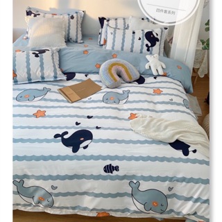 Chăn ga gối cotton poly - set 4 món