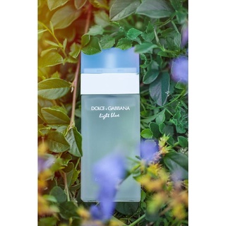 [Chiết 10ml] Nước hoa nữ Light Blue Eau Intense