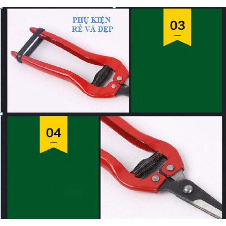 Combo 2 kéo cắt tỉa rau, hoa quả, tỉa cành nhỏ (Mũi nhọn)