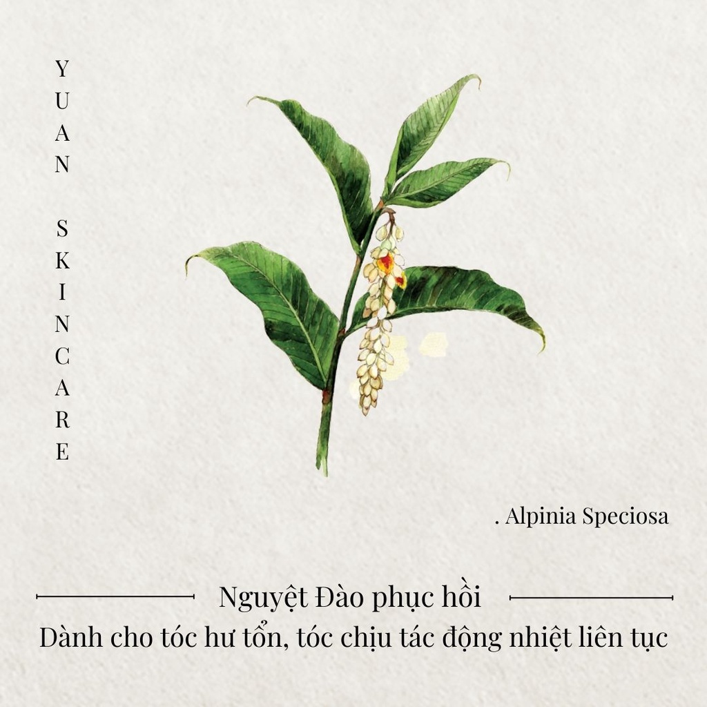 Sữa tắm cao cấp cấp ẩm dưỡng sáng dành cho da khô YUAN Đài Loan Nguyệt Đào Alpinia Speciosa Nourishing Body Wash -8ml