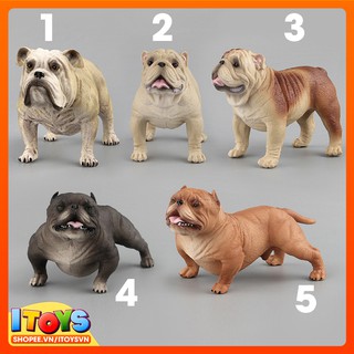 Bulldog, Mô hình Chó Bull lực lưỡng cao cấp tuyệt đẹp, dùng trưng bày trang trí xe hoặc làm quà tặng. ITOYS