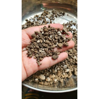 Đá Pumice - đá bọt núi lửa ( 1kg )
