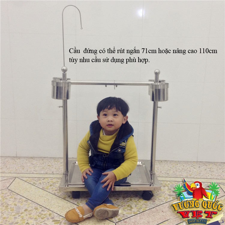 Cầu đứng cho vẹt