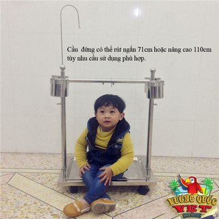 Cầu đứng cho vẹt