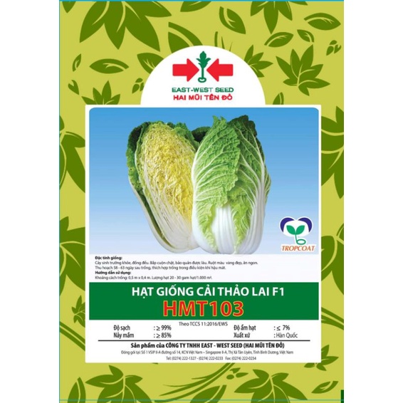 Hạt giống cải thảo lai F1 HMT103 - HMTĐ