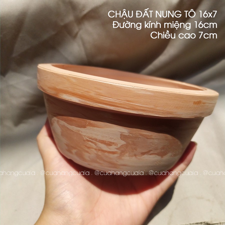 Chậu Đất Nung Trồng Cây TÔ 16x7 Chậu Cây, Chậu Trồng Cây, Cây Cảnh, Sen Đá, Hoa Hồng (Ảnh Thật)