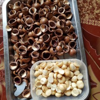 Macca Sấy Đã Nứt Vỏ Daklak - 500Gr