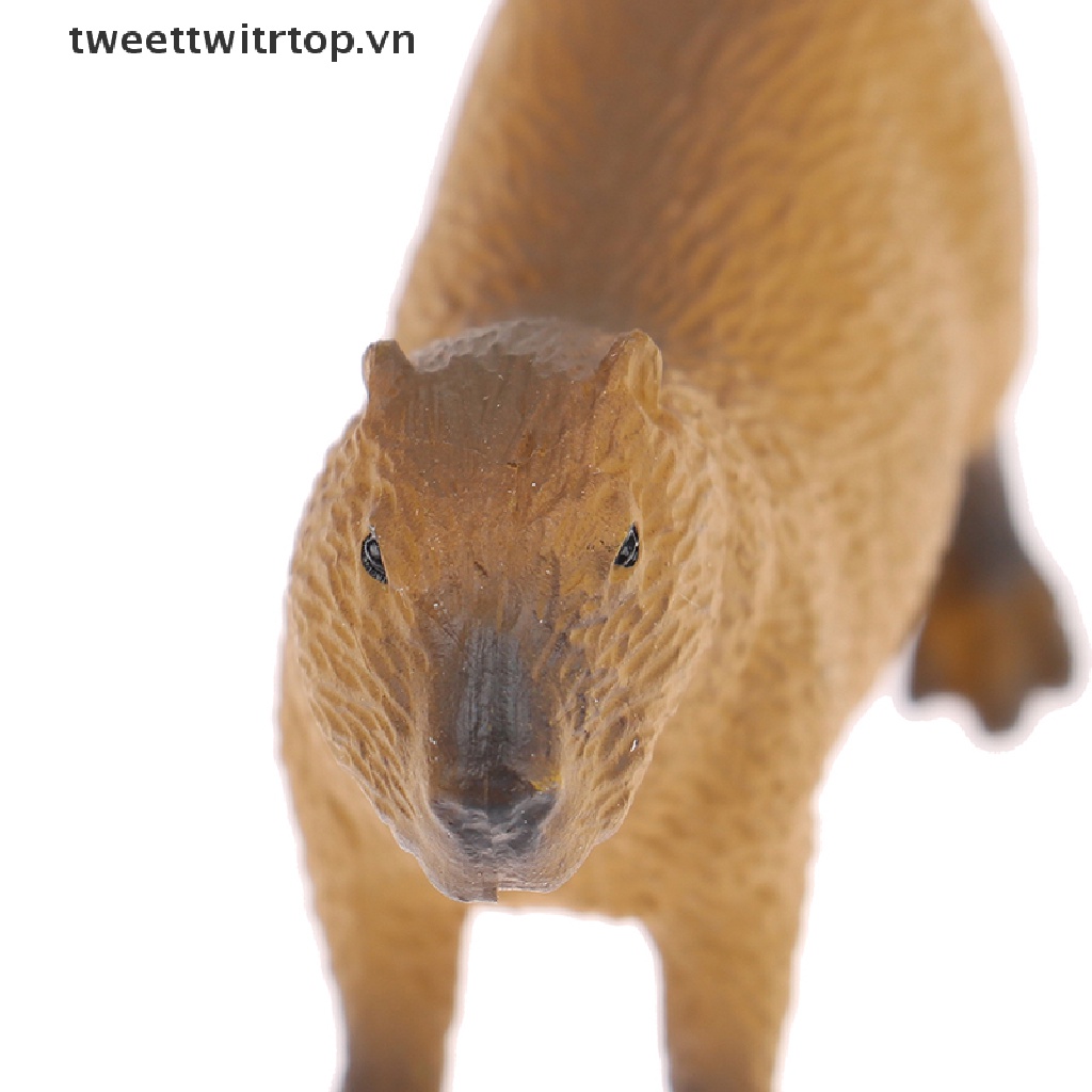 Mô Hình Đồ Chơi Sưu Tầm Capybara Hoang Dã Dễ Thương