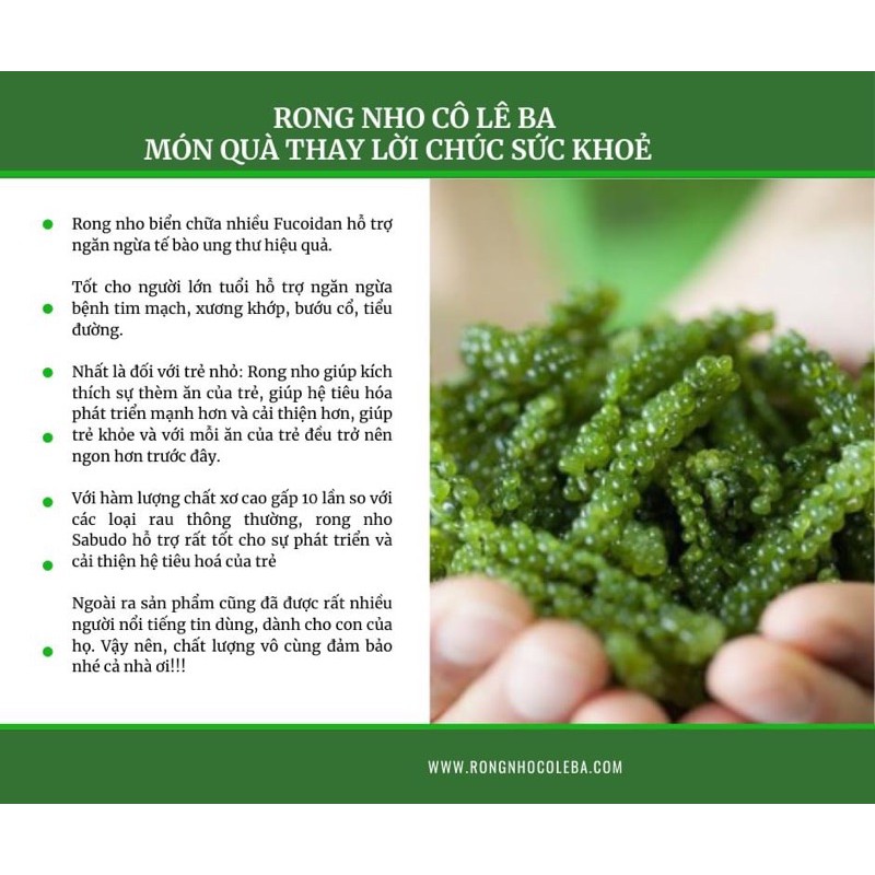 Nguyên Hộp 200gr (10Gói) Rong nho tách nước cao cấp Green food + Tặng 1 Gói sốt mè rang 15ML