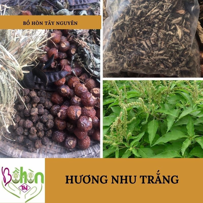 Hương Nhu Trắng (Gội đầu) 100g