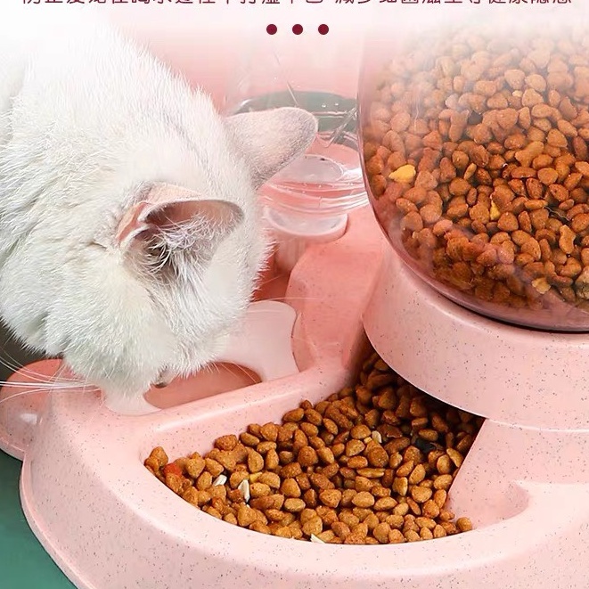 Bộ chén ăn cho chó mèo tự động đạp chân tai thỏ đôi nhựa đựng thức ăn có khay nước, phụ kiện thú cưng Con Mèo Xiêm