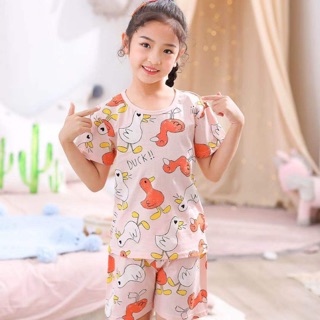 Bộ cộc xuất hàn - hải yến