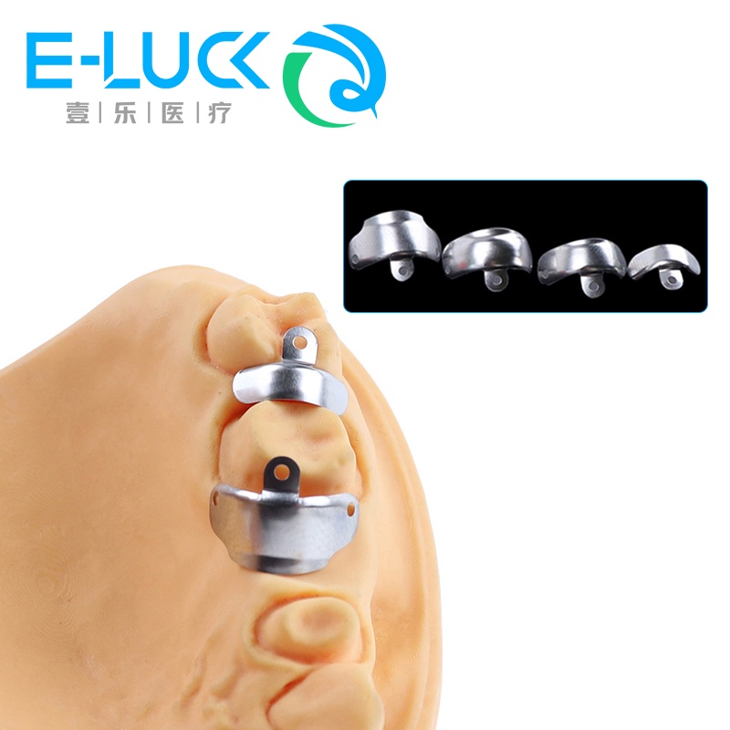 Set 50 Vòng Đệm Răng Chuyên Dụng Cho Nha Khoa