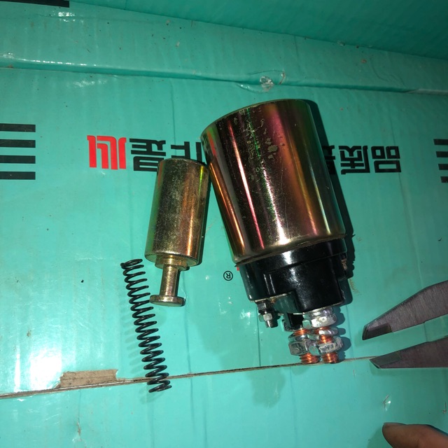 chuột đề lai 12v 24v