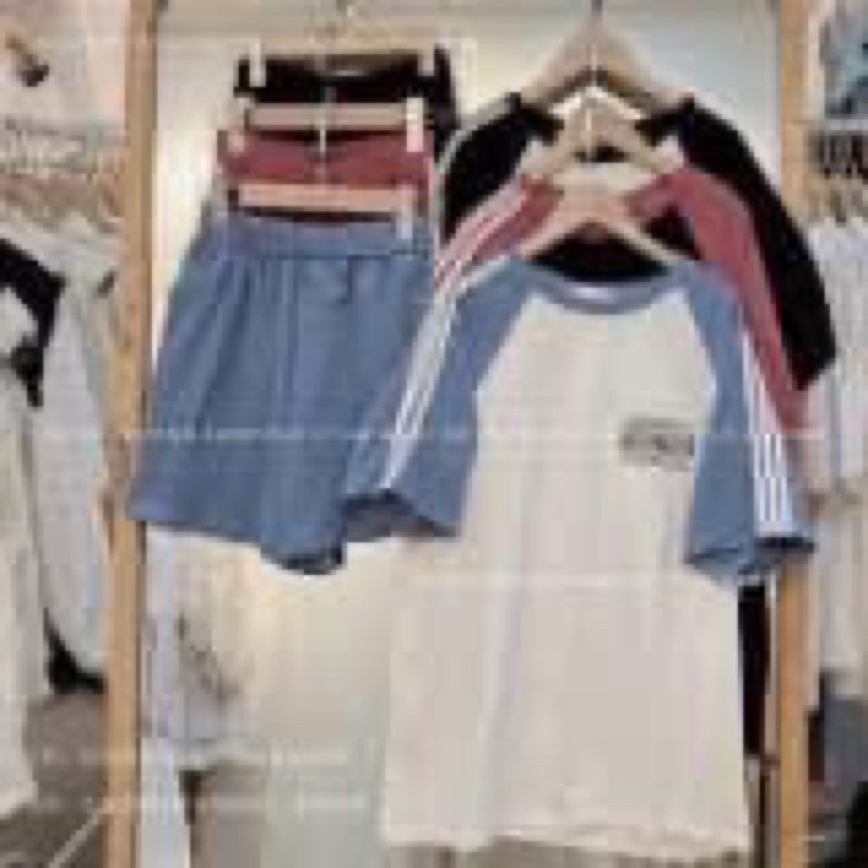 [ Rẻ vô địch ] Set bộ đùi phối raplang chất cotton