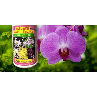 Phân bón kích ra hoa NK Thái OMEGA-ALPHA 250ml