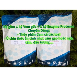 Bộ Men Thủy Phân Đạm Cá Và Đạm Động Thực Vật.