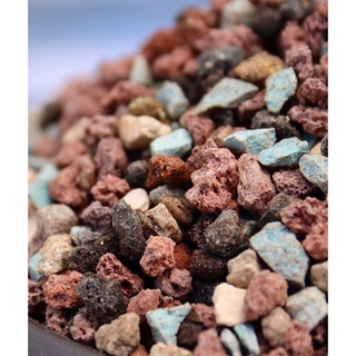 Đá cầu vồng trồng sen đá giữ màu cây