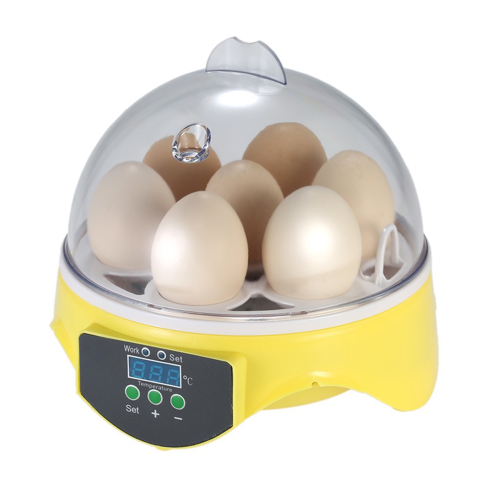 Máy ấp trứng kỹ thuật số mini với thiết kế màu sắc trong suốt tiện dụng